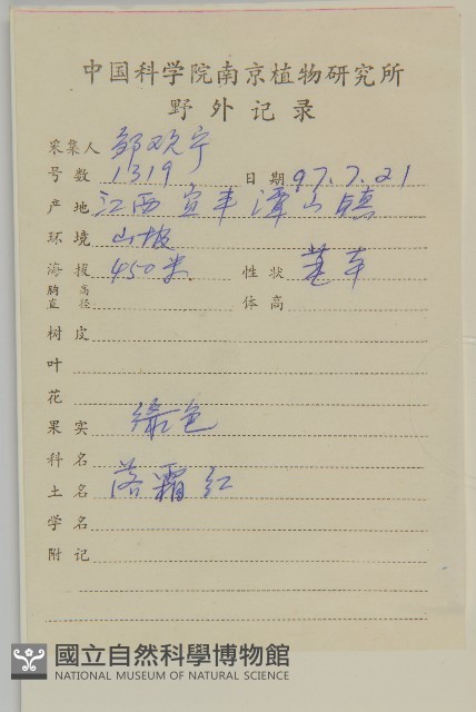 過山楓藏品圖，第2張