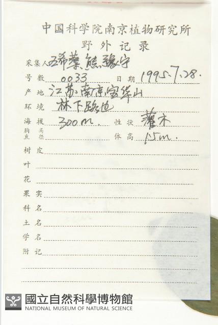 菱葉柿藏品圖，第2張