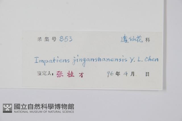 登錄號:S040250藏品圖，第2張