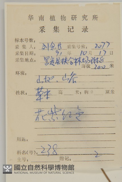 燈豎朽藏品圖，第2張