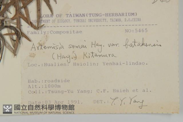 太魯閣艾藏品圖，第2張