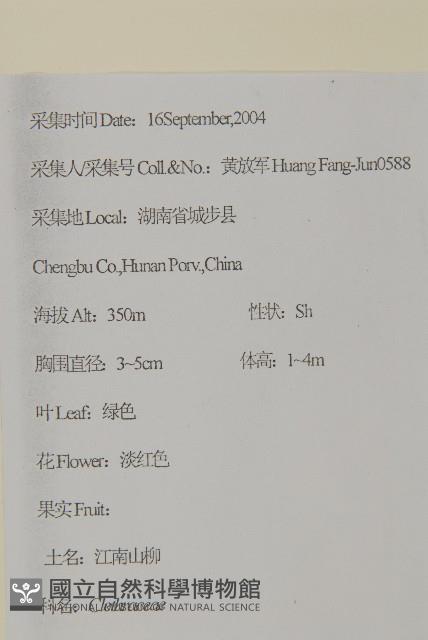 江南山柳藏品圖，第2張