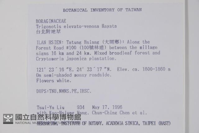 臺北附地草藏品圖，第2張