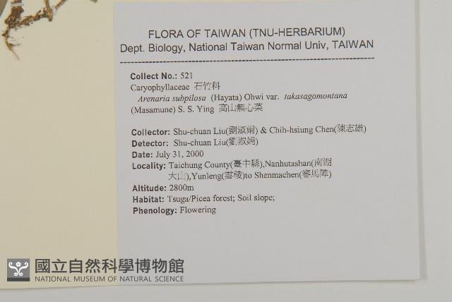 高山無心菜藏品圖，第2張