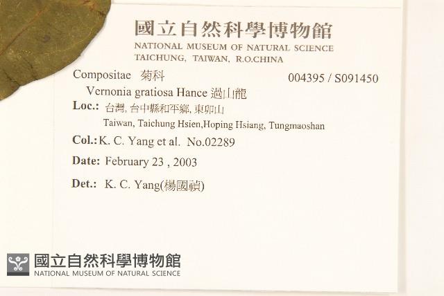 過山龍藏品圖，第2張