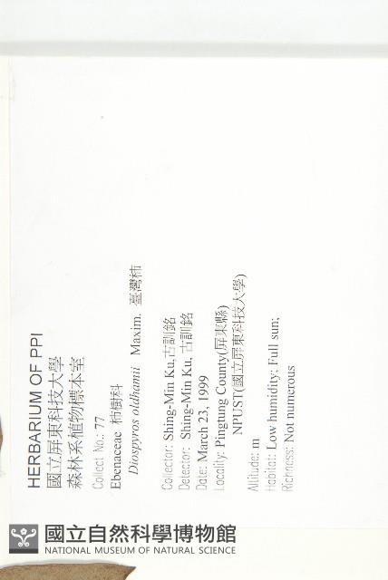 俄氏柿藏品圖，第2張