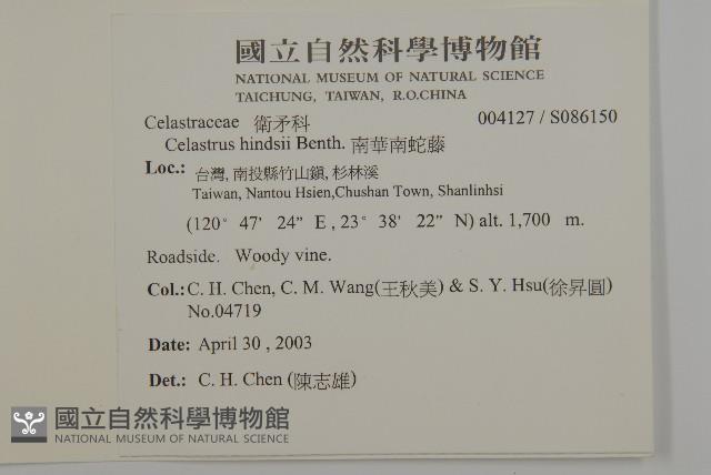 南華南蛇藤，青江藤藏品圖，第2張