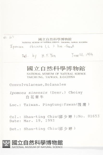 野牽牛藏品圖，第2張