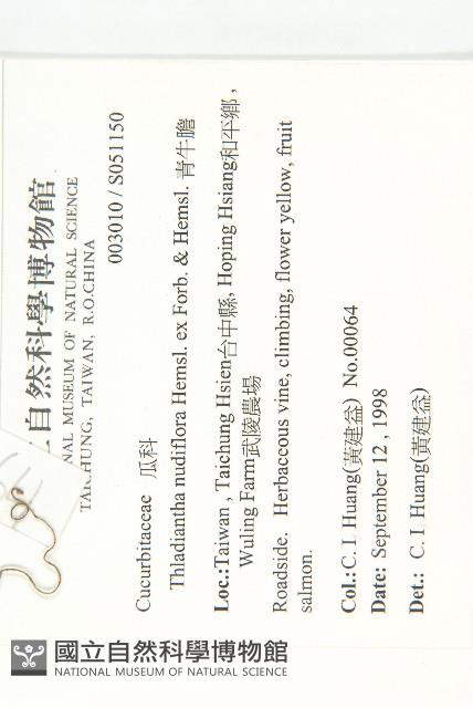 青牛膽藏品圖，第2張