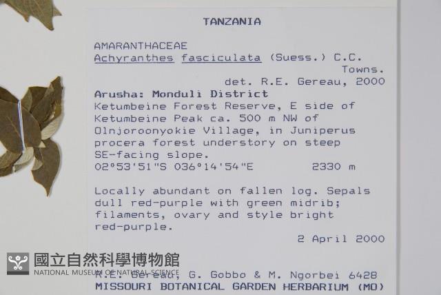 登錄號:S096350藏品圖，第2張