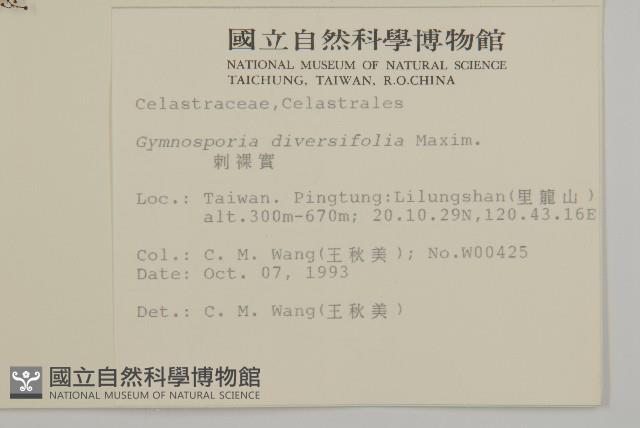 刺裸實、變葉裸實藏品圖，第2張