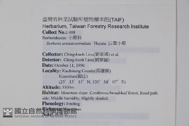 臺灣小蘗藏品圖，第2張