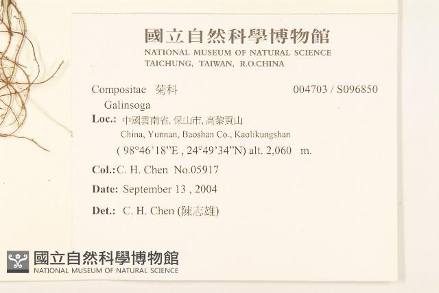 登錄號:S096850藏品圖，第2張