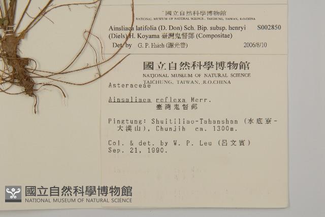 臺灣鬼督郵藏品圖，第2張