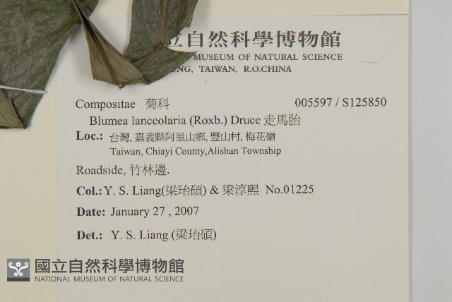 走馬胎藏品圖，第2張