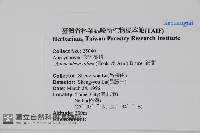 小錦蘭藏品圖，第2張