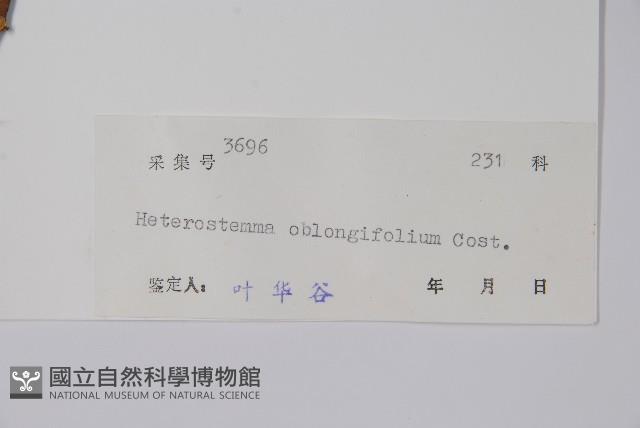 催乳藤藏品圖，第2張