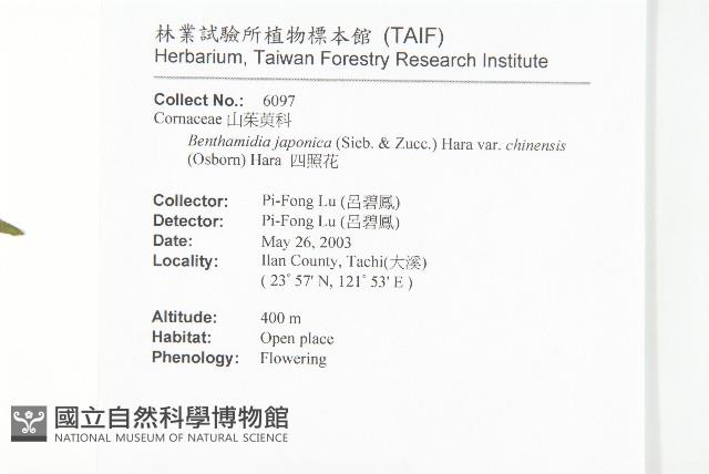 四照花藏品圖，第2張