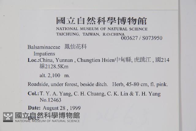 登錄號:S073950藏品圖，第2張