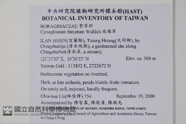 琉璃草藏品圖，第2張