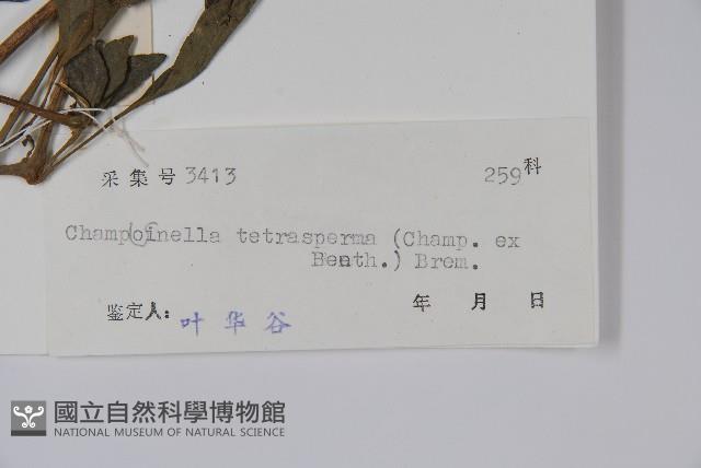 黃瓊草藏品圖，第2張