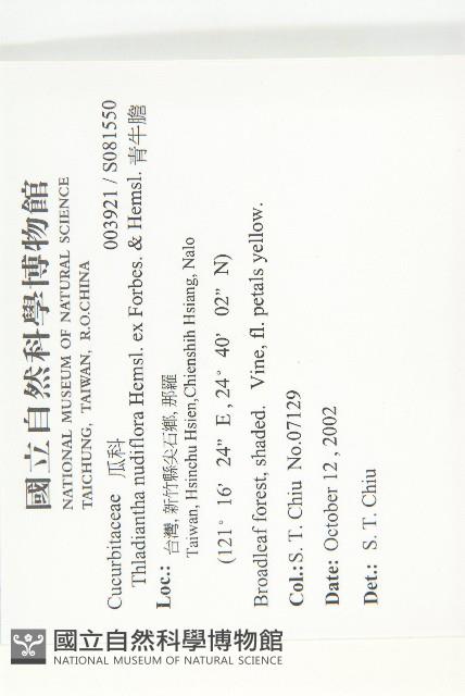 青牛膽藏品圖，第2張