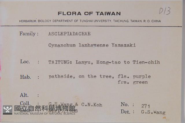 蘭嶼牛皮消、蘭嶼白薇藏品圖，第2張