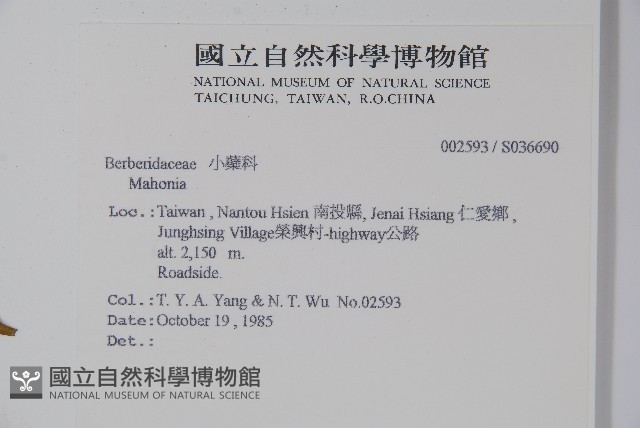 登錄號:S036690藏品圖，第2張