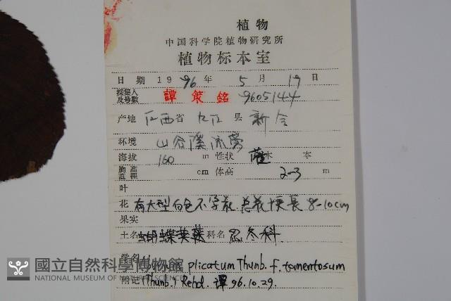 Accession Number:S052690 Collection Image, Figure 2, Total 2 Figures