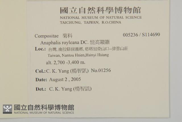 能高籟簫藏品圖，第5張