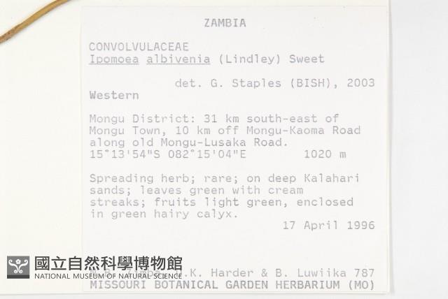 登錄號:S093690藏品圖，第2張