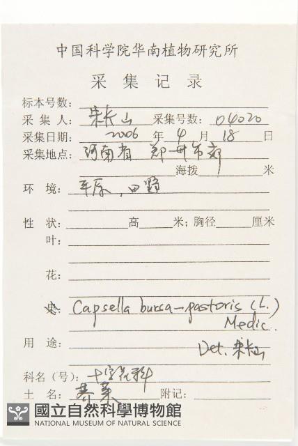 薺藏品圖，第2張