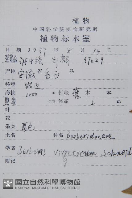 廬山小檗藏品圖，第2張