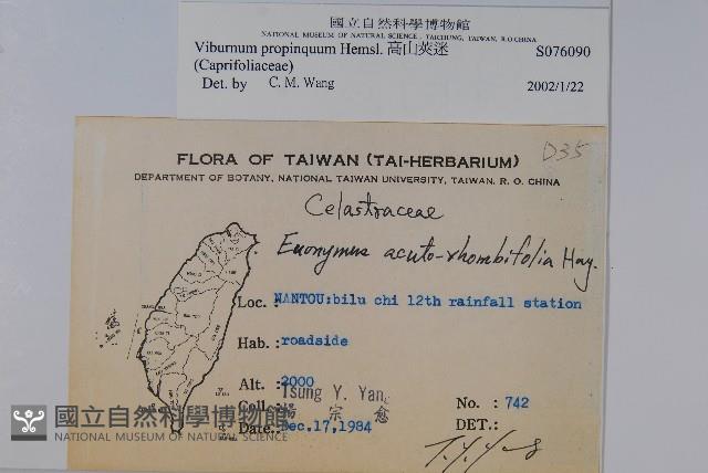 高山莢迷藏品圖，第2張