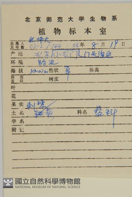 刺藜藏品圖，第2張