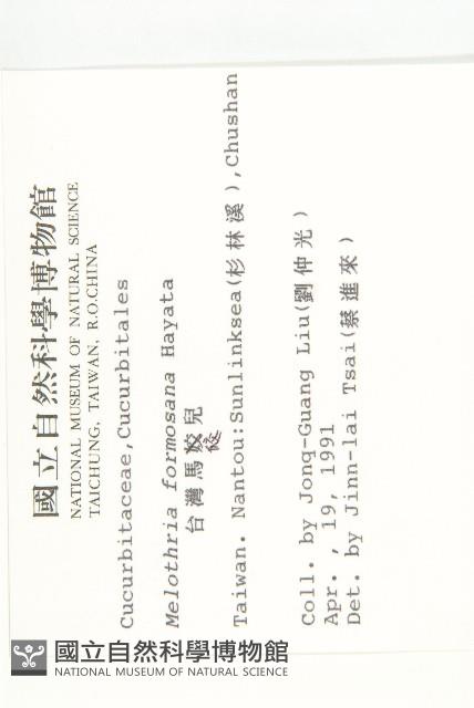 臺灣馬交兒藏品圖，第2張