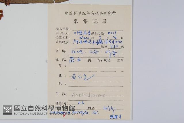水東哥藏品圖，第2張