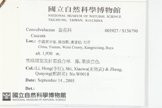 登錄號:S136790藏品圖，第2張