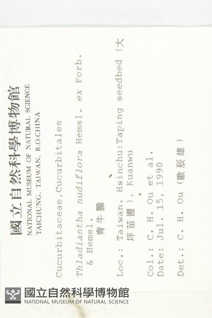 青牛膽藏品圖，第2張