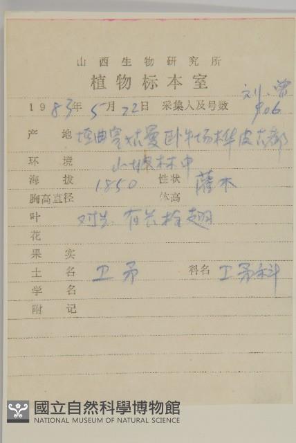 衛矛藏品圖，第2張