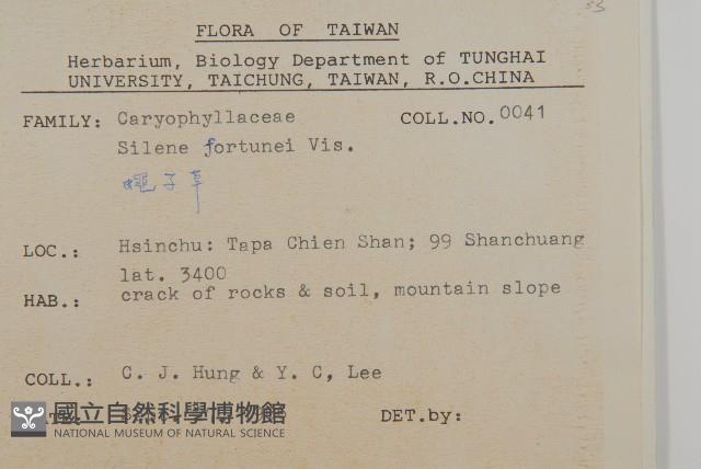 蠅子草藏品圖，第2張