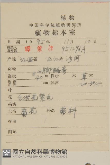 菊花藏品圖，第2張