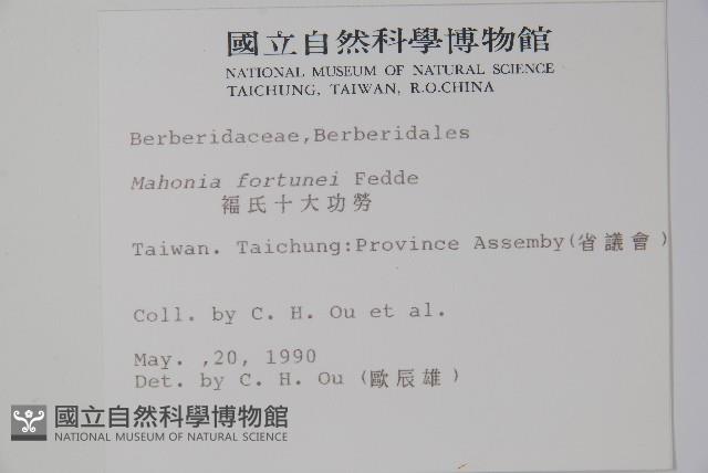 細葉十大功勞藏品圖，第2張