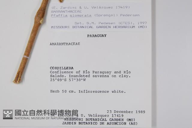 登錄號:S062290藏品圖，第2張