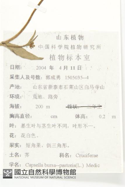 薺藏品圖，第2張