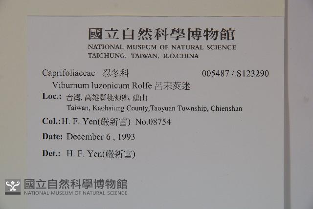 呂宋莢迷藏品圖，第2張