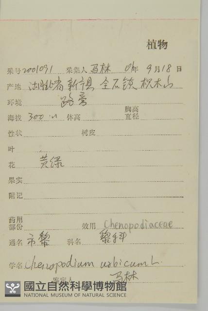 市藜藏品圖，第2張