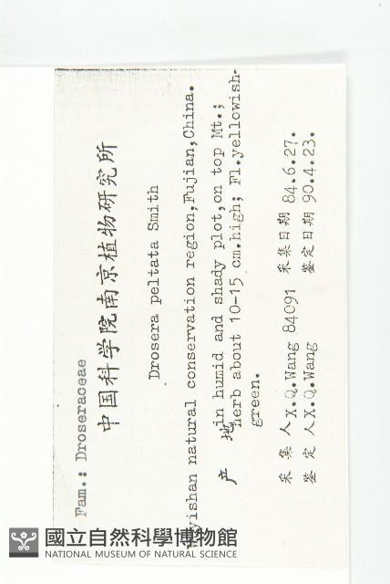 茅膏菜藏品圖，第2張