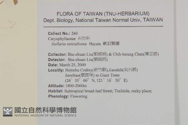 網脈繁縷藏品圖，第2張