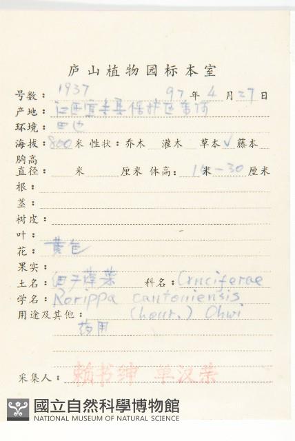 廣東葶藶藏品圖，第2張